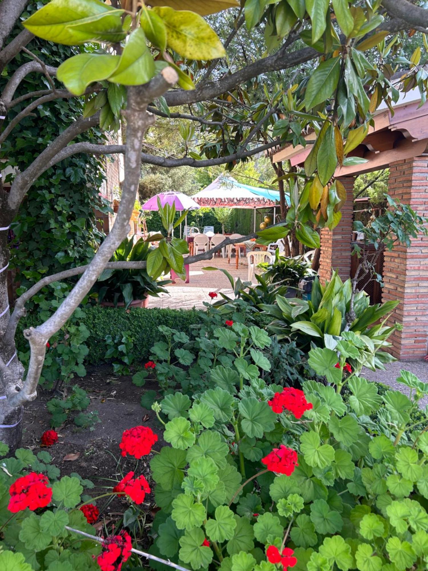 Casa Los Rosales Alfacar Exterior foto